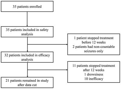 Efficacy and Tolerance of Synthetic Cannabidiol for Treatment of Drug Resistant Epilepsy